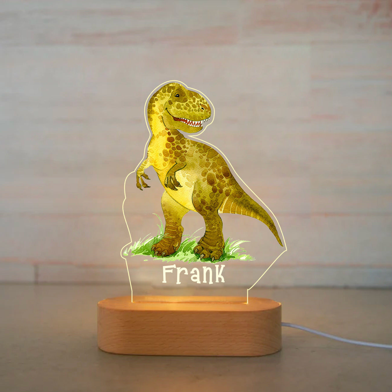 Personalized Light LED Bedroom Night Light Boys Girls Dinosaur Mood Lighting I003