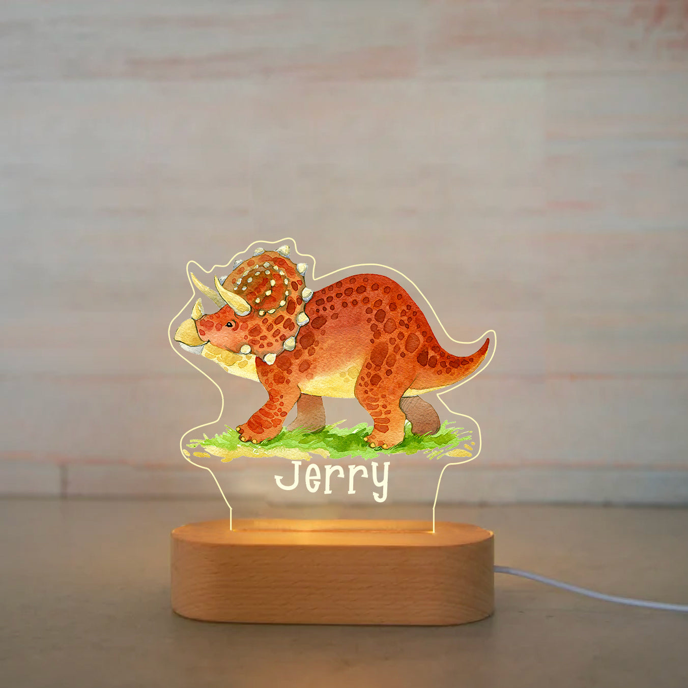 Personalized Light LED Bedroom Night Light Boys Girls Dinosaur Mood Lighting I002