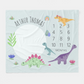 Custom Name Fleece Jungle Pink T-Rex Dinosaur Milestone Blanket