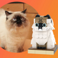 Custom-made Block Figure of One Cat Made with Small Blocks