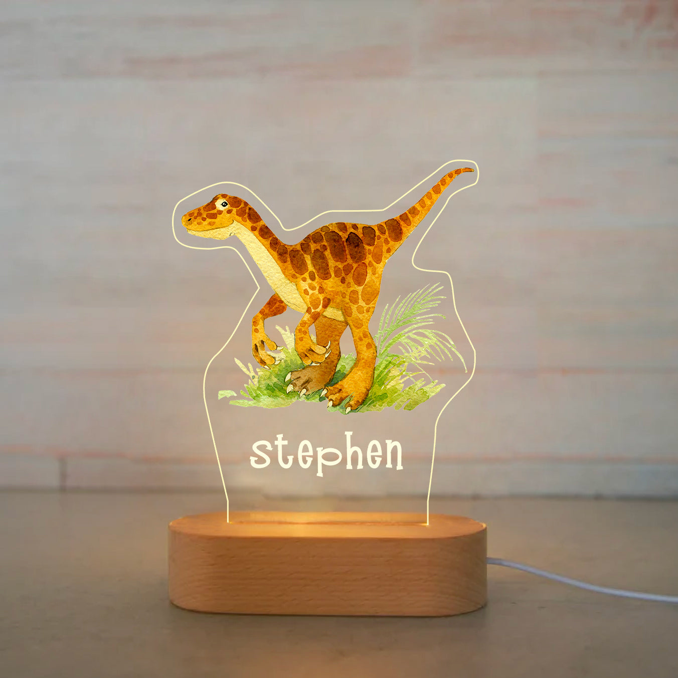 Personalized Light LED Bedroom Night Light Boys Girls Dinosaur Mood Lighting I006