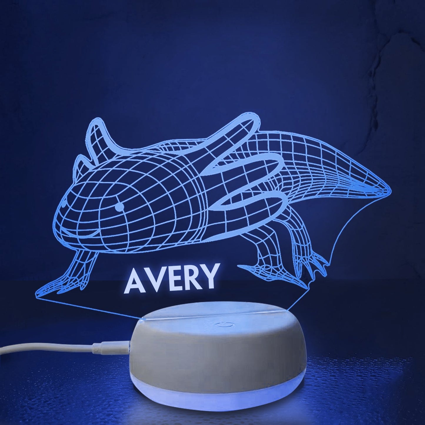 Personalized 3D Salamander Night Lights with Name 7/16 Colors Changing Led Lamp