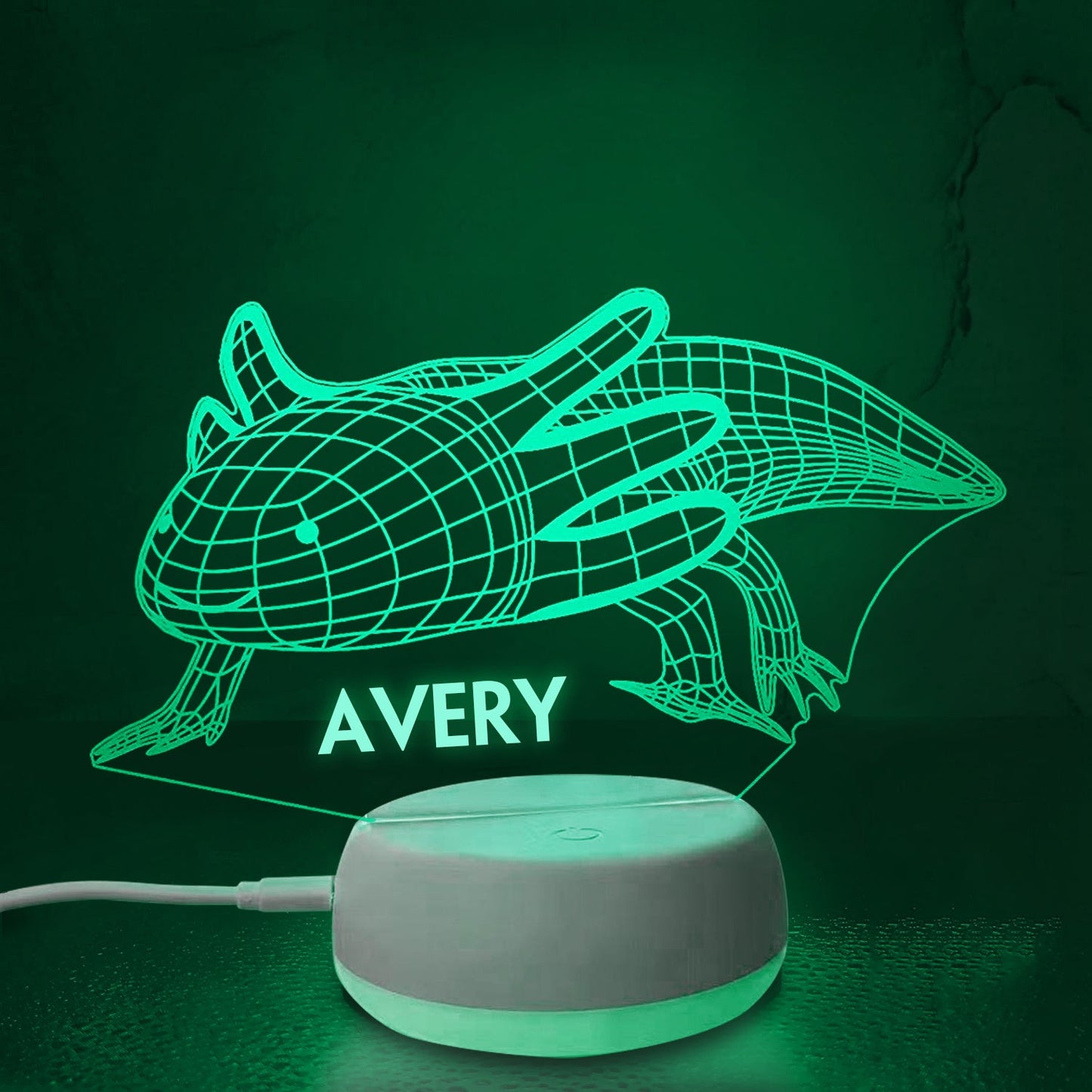 Personalized 3D Salamander Night Lights with Name 7/16 Colors Changing Led Lamp