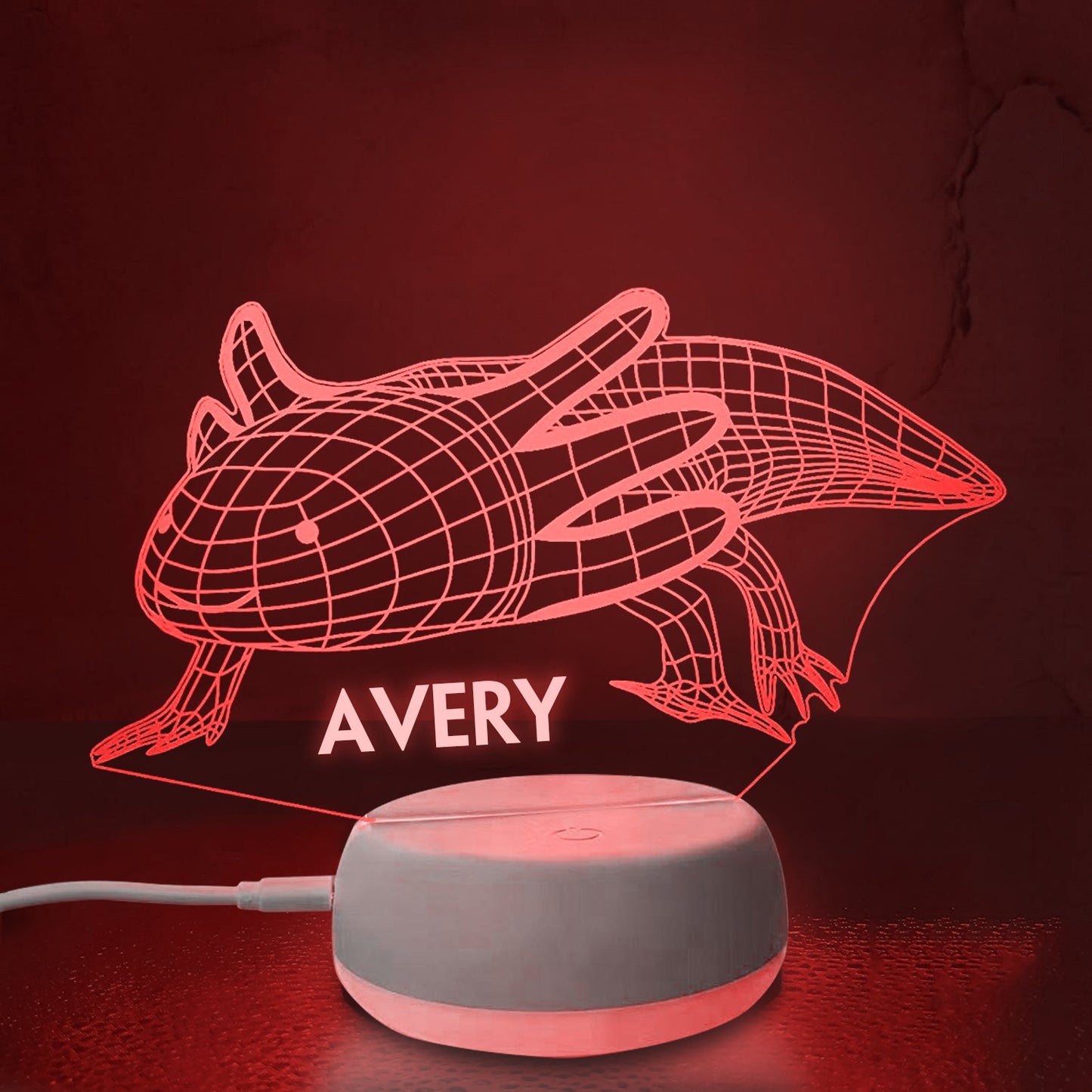 Personalized 3D Salamander Night Lights with Name 7/16 Colors Changing Led Lamp