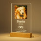 Personalized Pet Photo Memorial Light