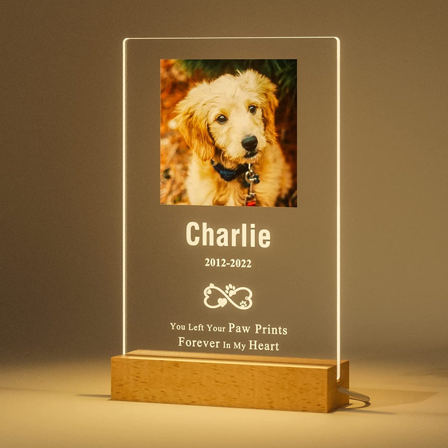 Personalized Pet Photo Memorial Light