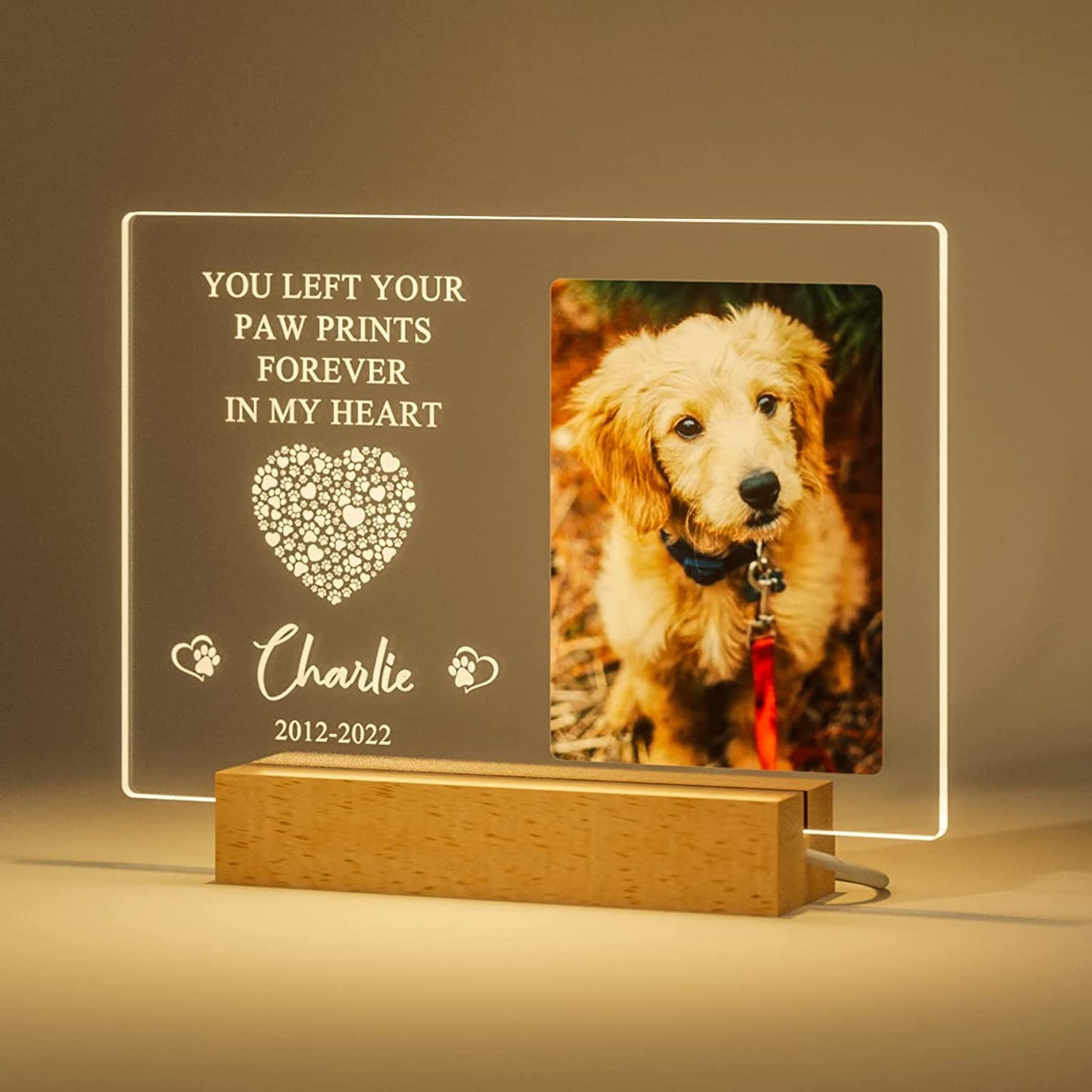 Personalized Pet Photo Memorial Light