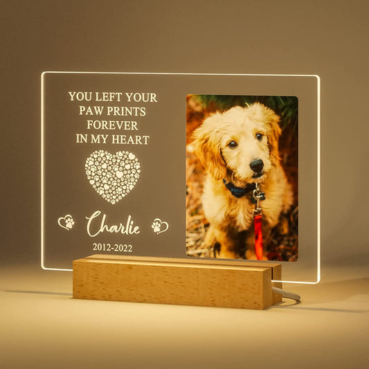 Personalized Pet Photo Memorial Light