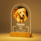 Personalized Pet Photo Memorial Light