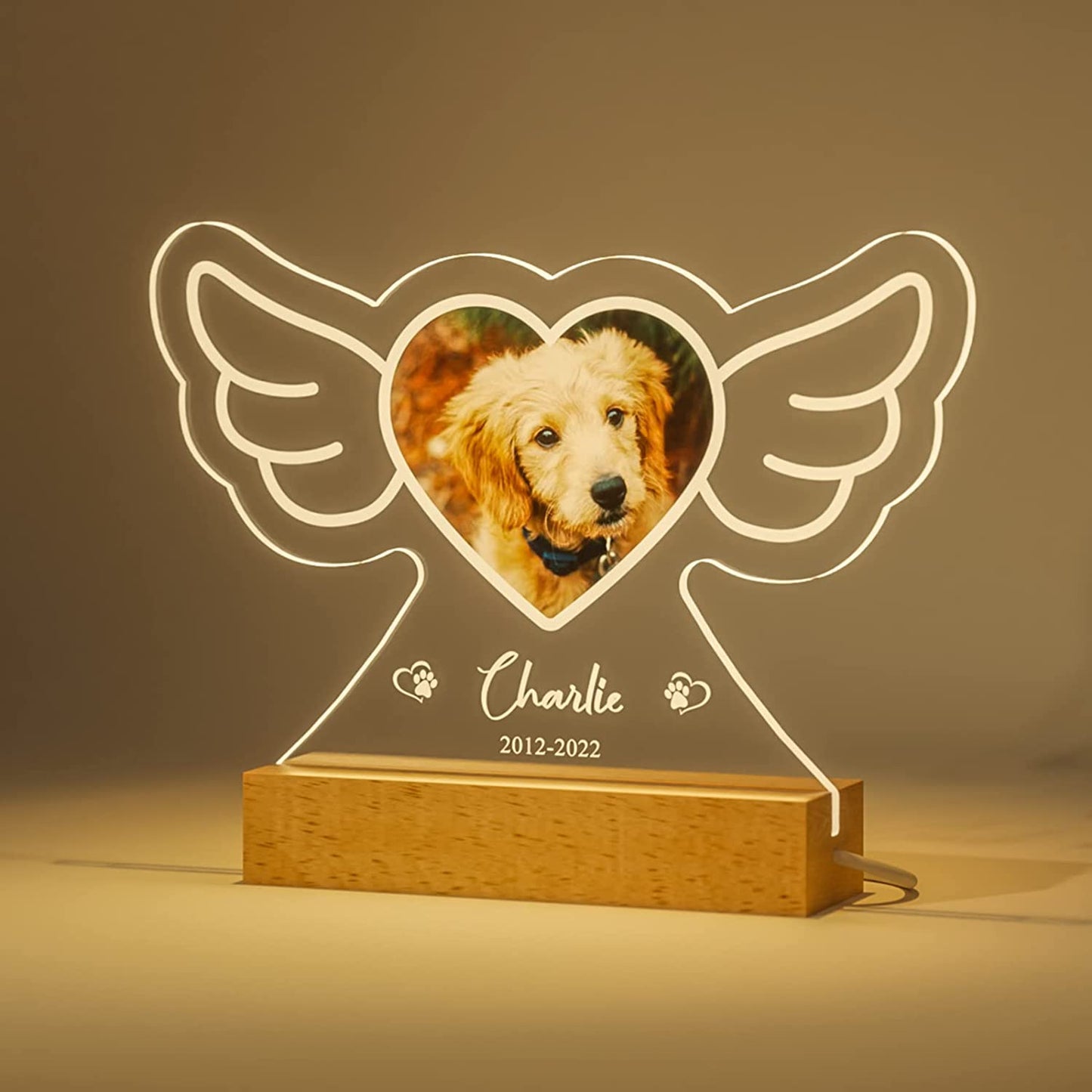 Personalized Pet Photo Memorial Light