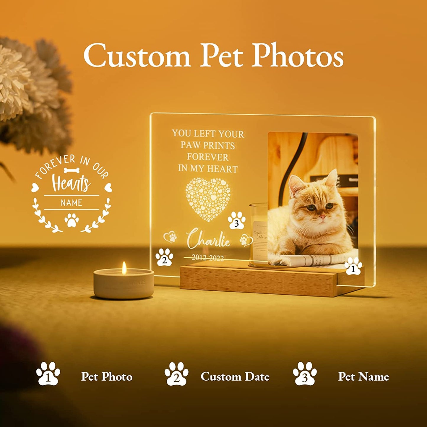 Personalized Pet Photo Memorial Light