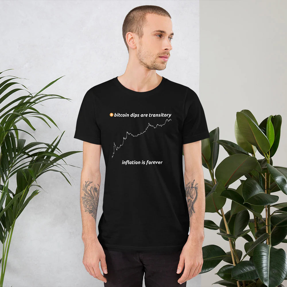 Bitcoin Dips Are Transitory T-Shirt