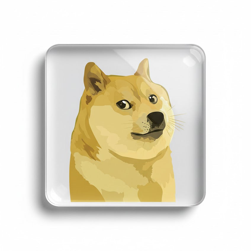 Ultimate Crypto Collector's Magnets- Doge Meme