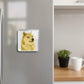 Ultimate Crypto Collector's Magnets- Doge Meme